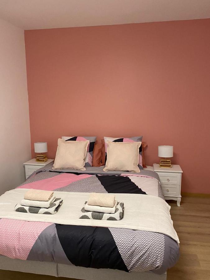 Grand F4 De 71M2 Pour 6 Personnes En Plein Centre Ville 아르파종 외부 사진