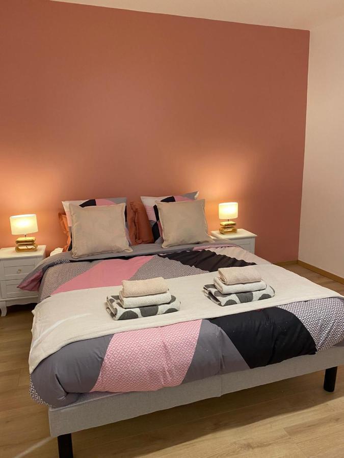 Grand F4 De 71M2 Pour 6 Personnes En Plein Centre Ville 아르파종 외부 사진